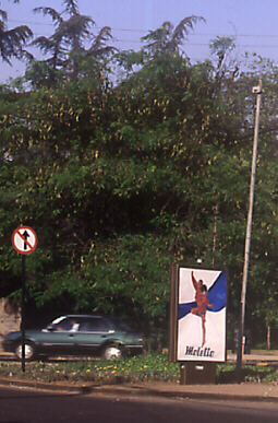 paleta1.jpg (30272 bytes)